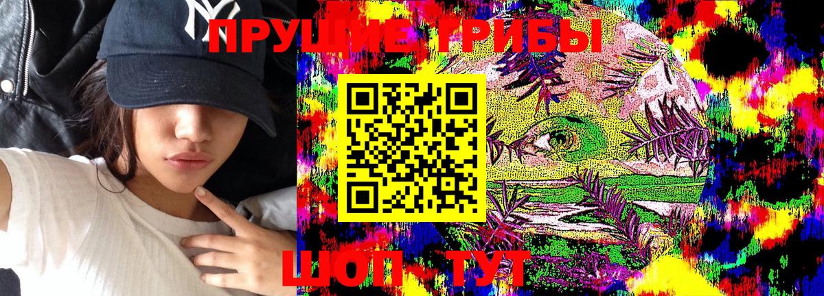 Галлюциногенные грибы Psilocybine cubensis Лабытнанги